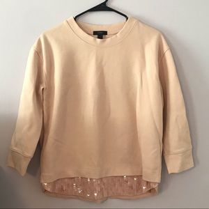 J Crew Sequin Sweatshirt